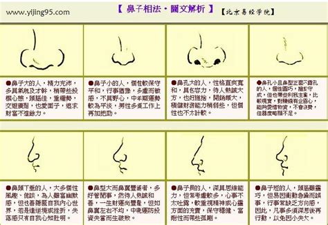 性能力強面相|性能力強？男看鼻子女竟是看這裡